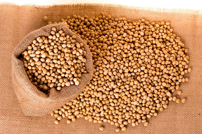 soybeans-2039638_960_720